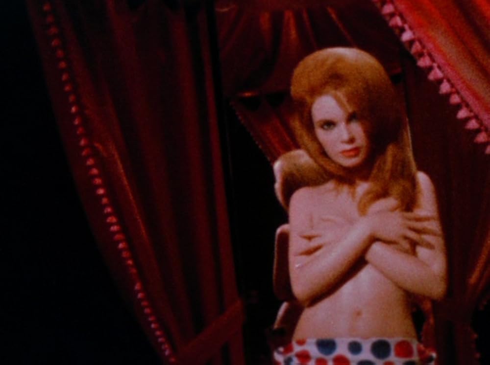 スコピオ・ライジングの画像