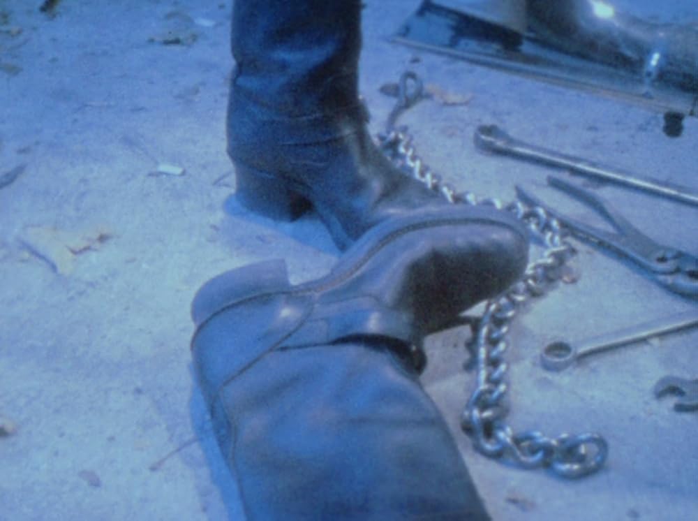 スコピオ・ライジングの画像