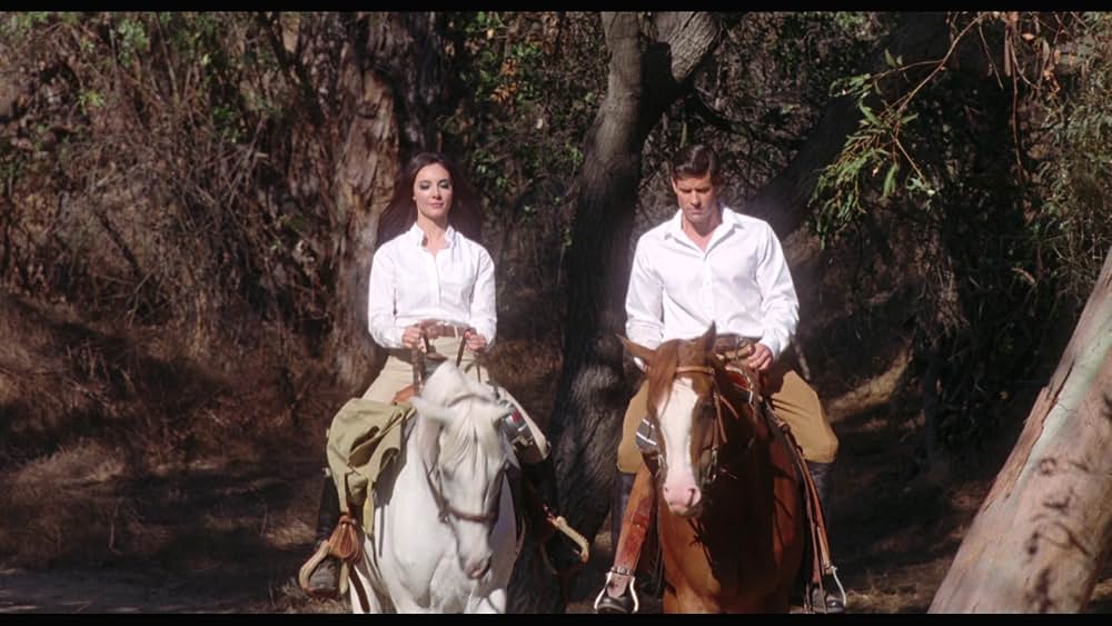 ラブ・ウィッチの画像