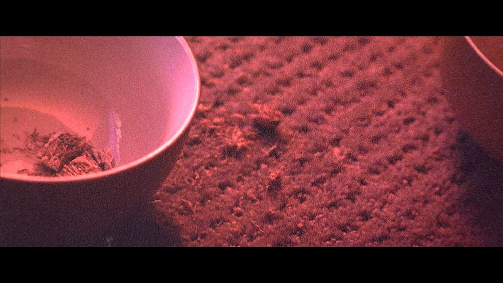 SKINAMARINK／スキナマリンクの画像