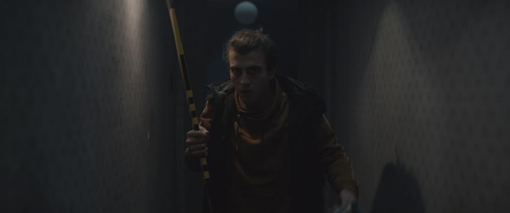 コブウェブの画像