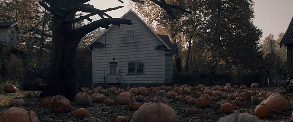 コブウェブの画像