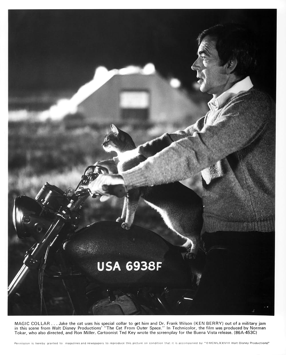 スペースキャットの画像