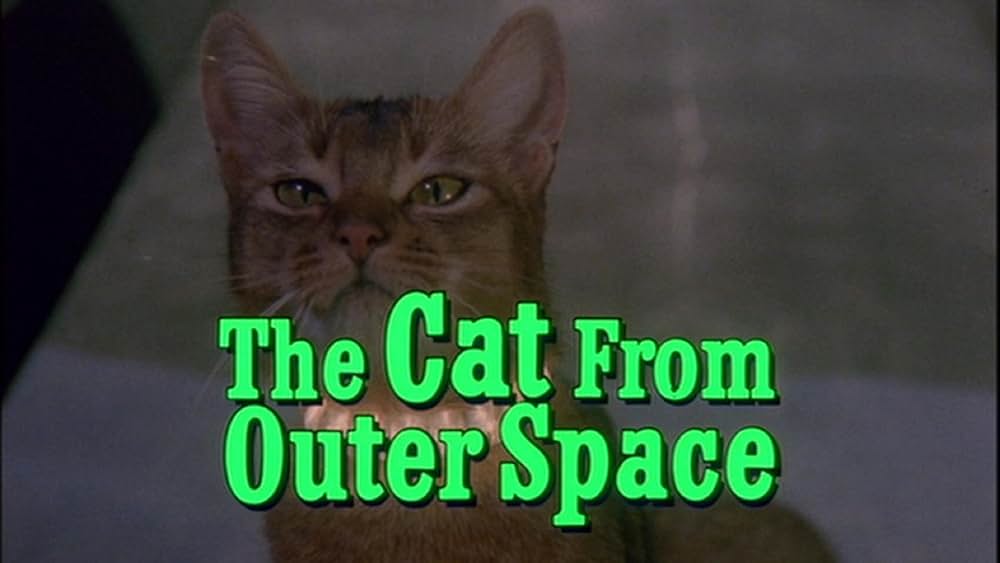 スペースキャットの画像