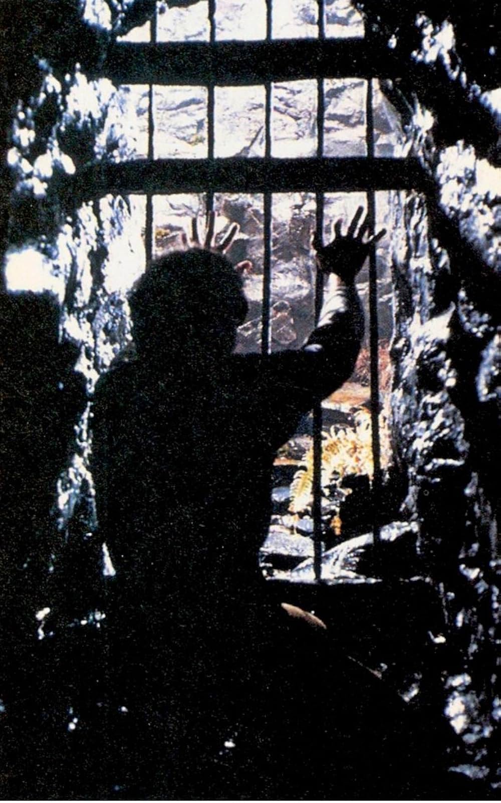 ドラゴンスレイヤーの画像