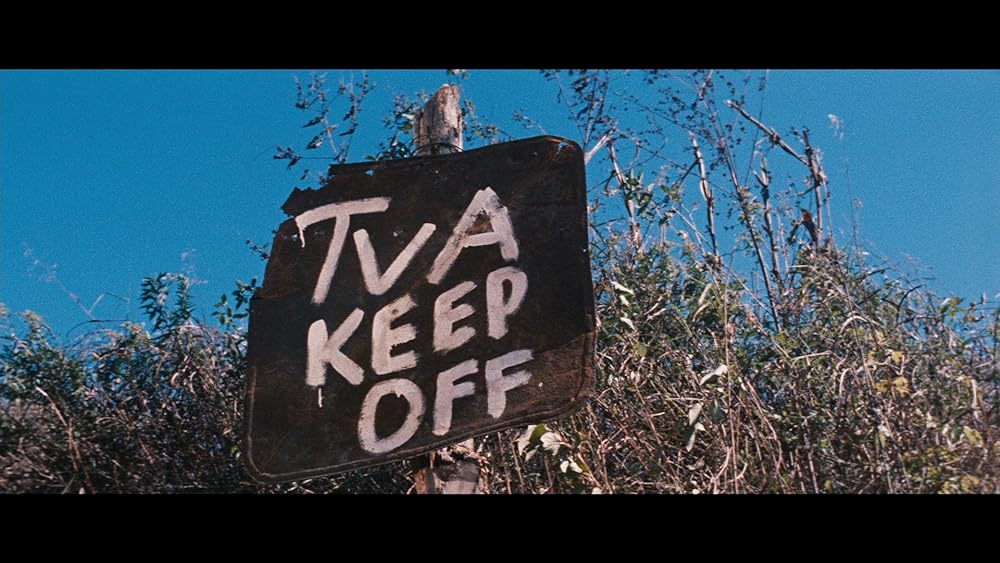 荒れ狂う河の画像