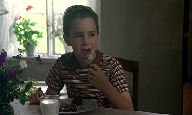 「マイライフ・アズ・ア・ドッグ」アントン・グランセリウスの画像