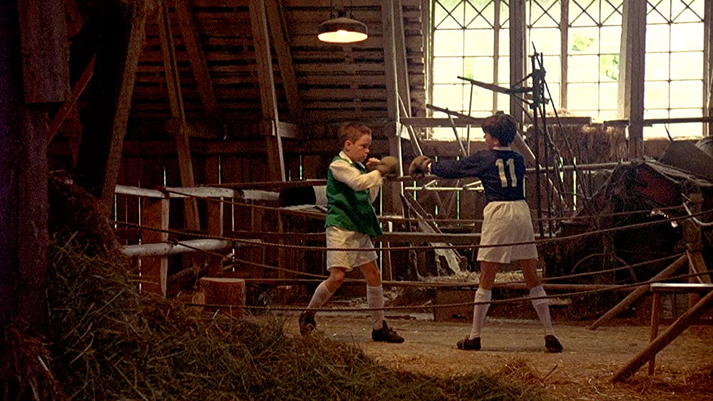 マイライフ・アズ・ア・ドッグの画像