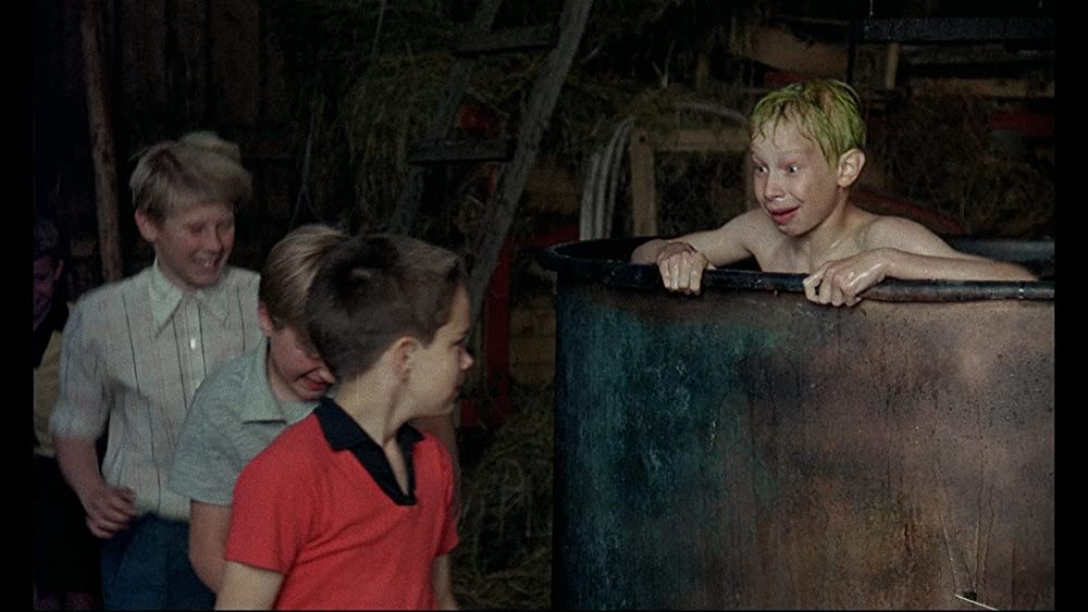 「マイライフ・アズ・ア・ドッグ」アントン・グランセリウスの画像