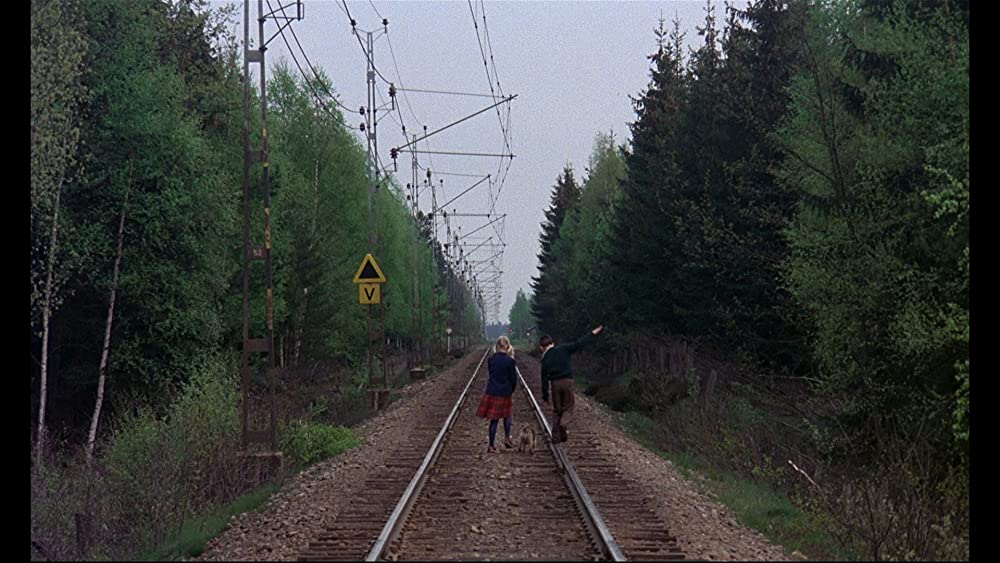 マイライフ・アズ・ア・ドッグの画像