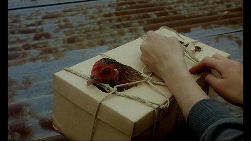 マイライフ・アズ・ア・ドッグの画像