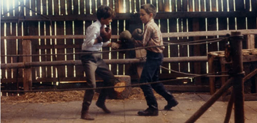 マイライフ・アズ・ア・ドッグの画像