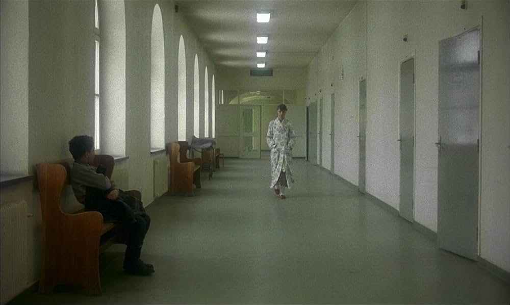 マイライフ・アズ・ア・ドッグの画像