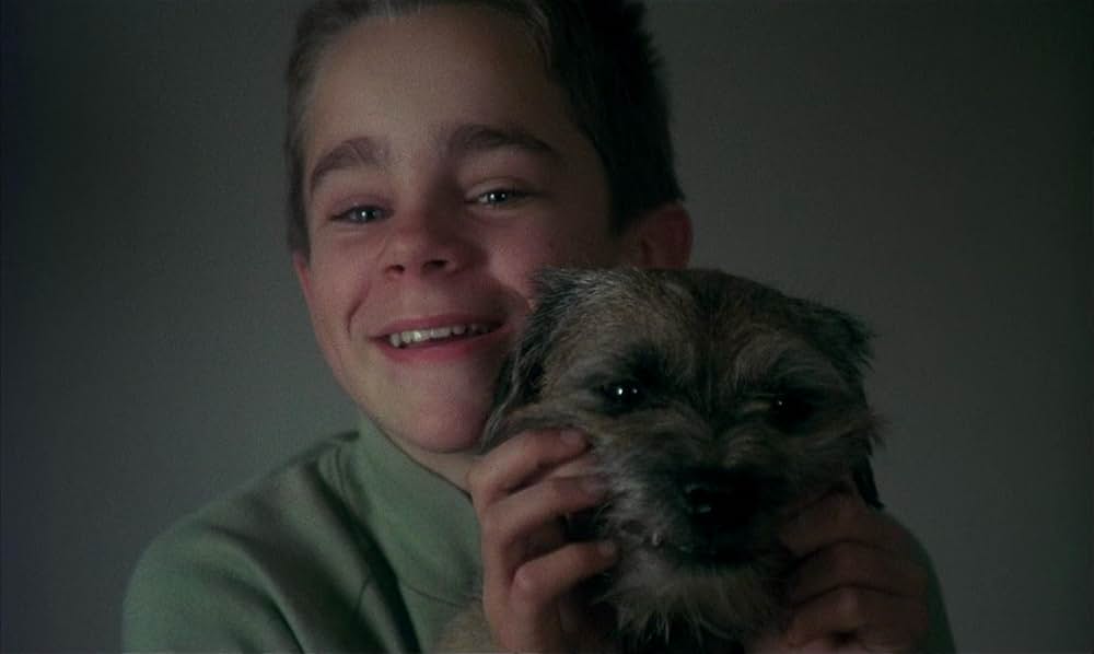 マイライフ・アズ・ア・ドッグの画像