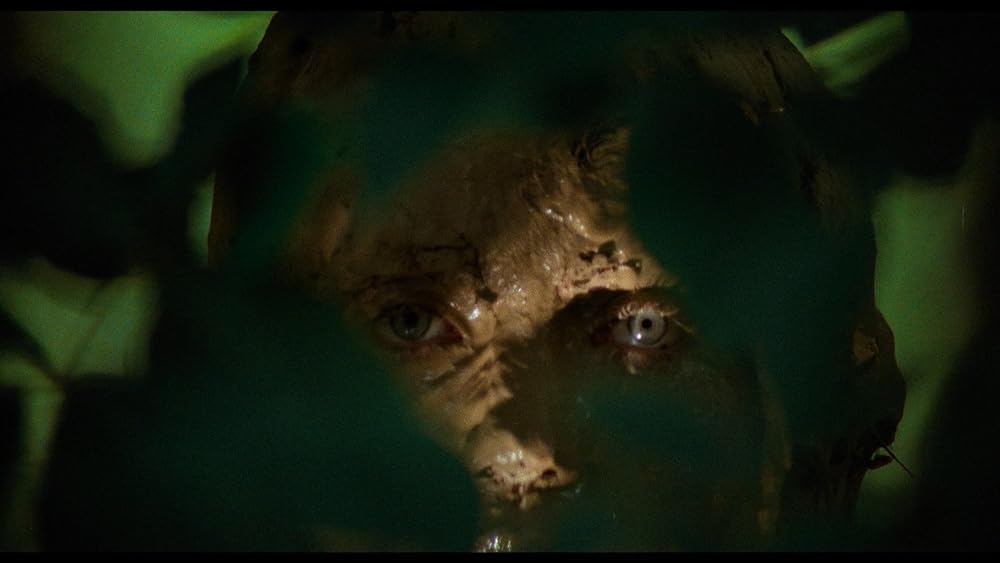 死霊の谷の画像