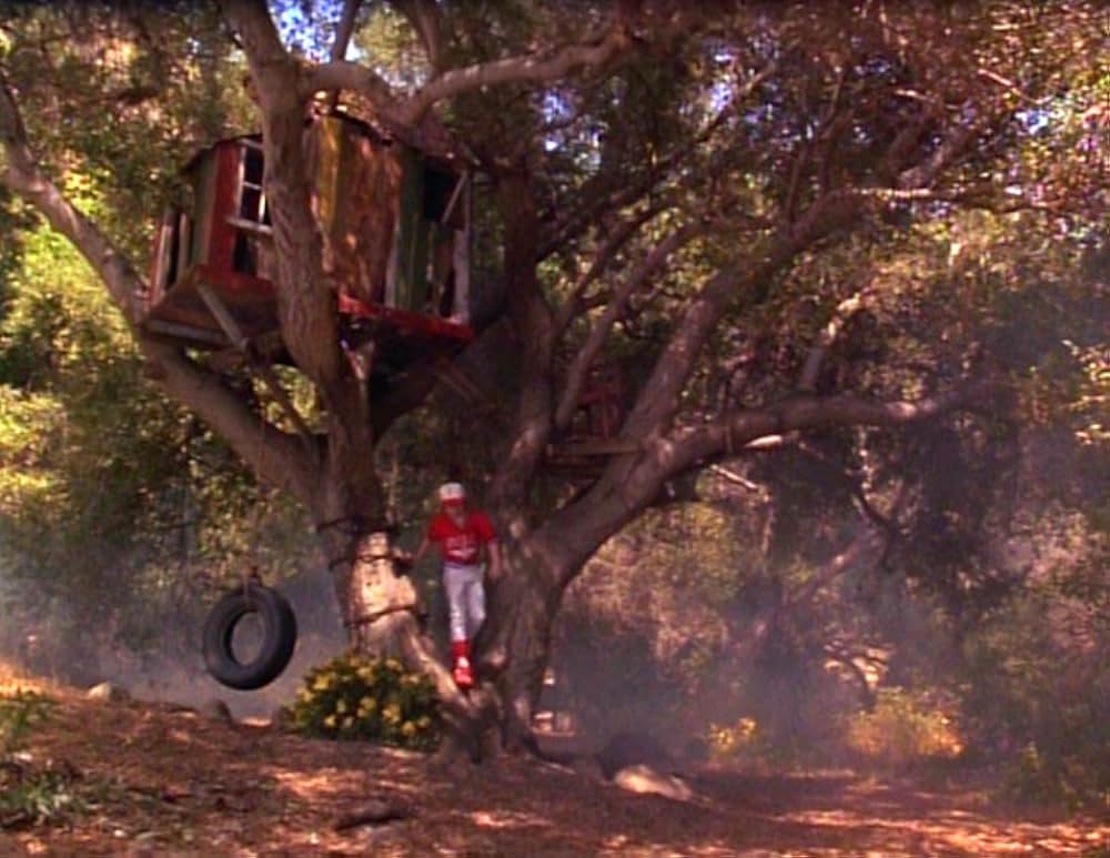 ノース／ちいさな旅人の画像