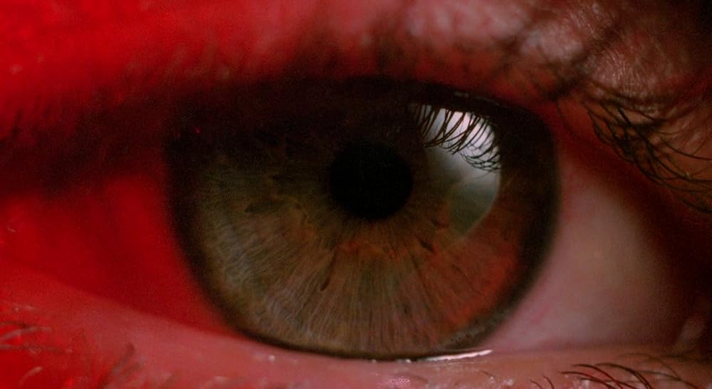 ホワイト・アイズ／隠れた狂気の画像