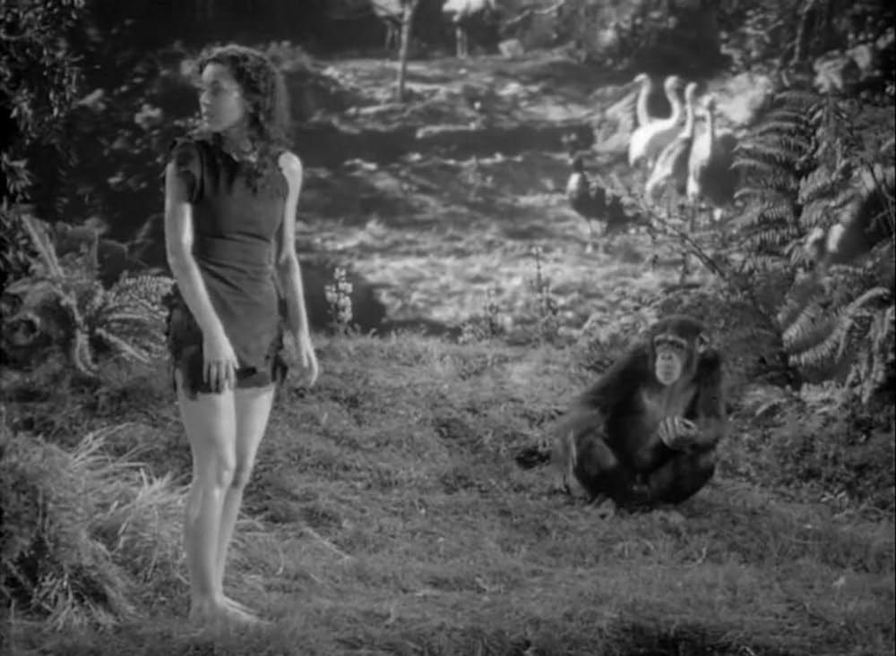 ターザンの逆襲の画像