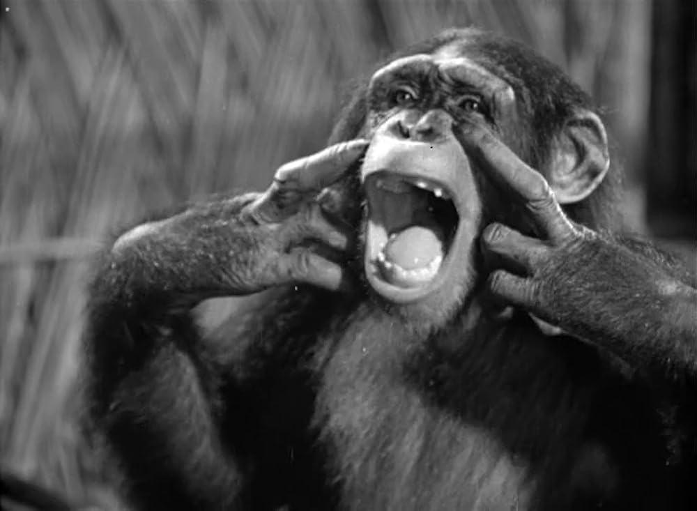 ターザンの逆襲の画像