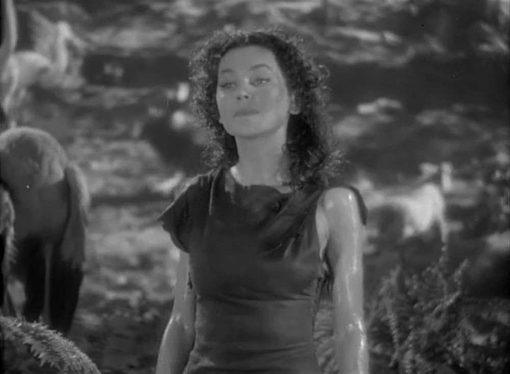 ターザンの逆襲の画像