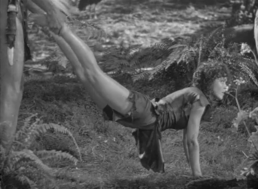 ターザンの逆襲の画像