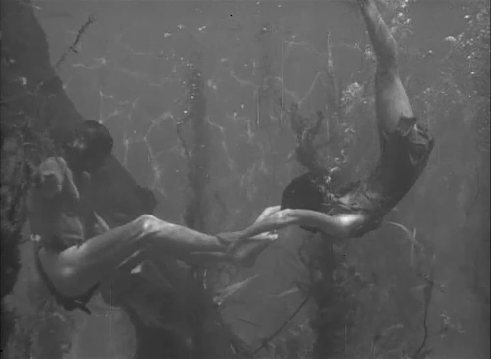 「ターザンの逆襲」モーリン・オサリバン & ジョニー・ワイズミュラーの画像