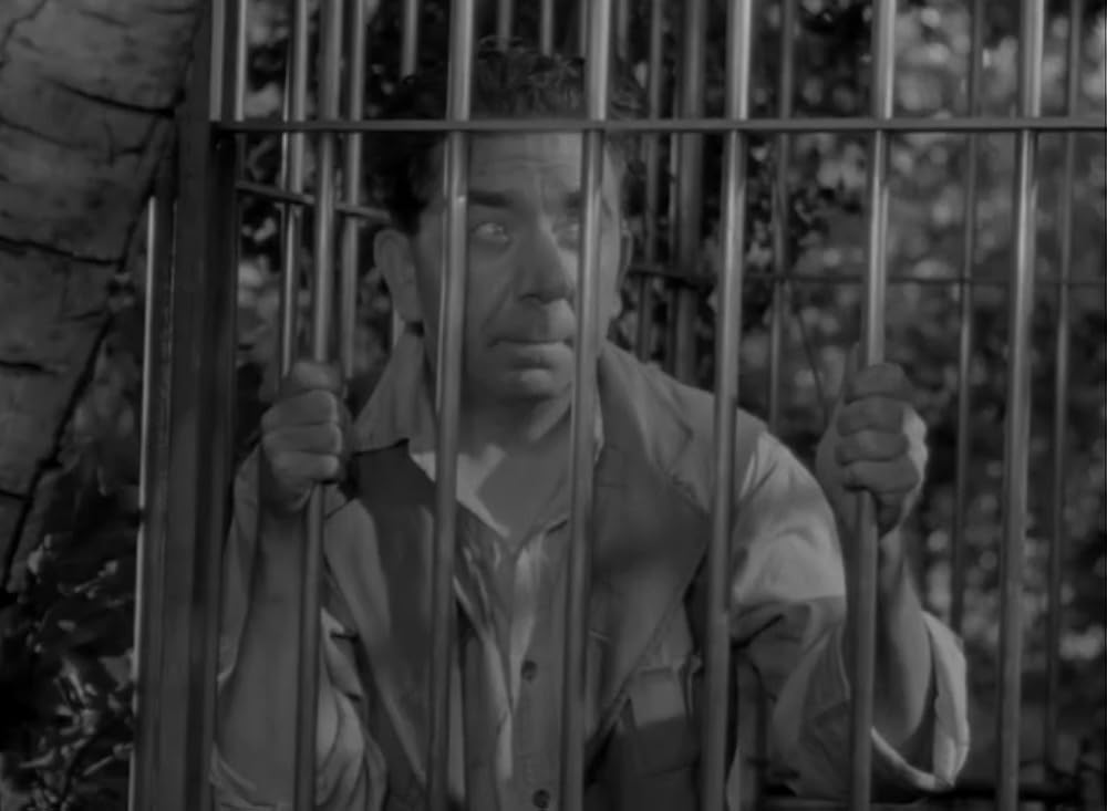 ターザンの逆襲の画像