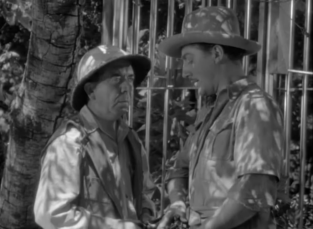 ターザンの逆襲の画像