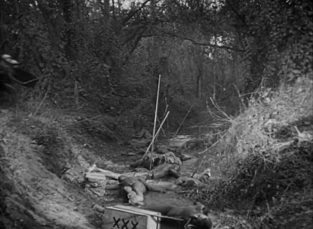 ターザンの逆襲の画像