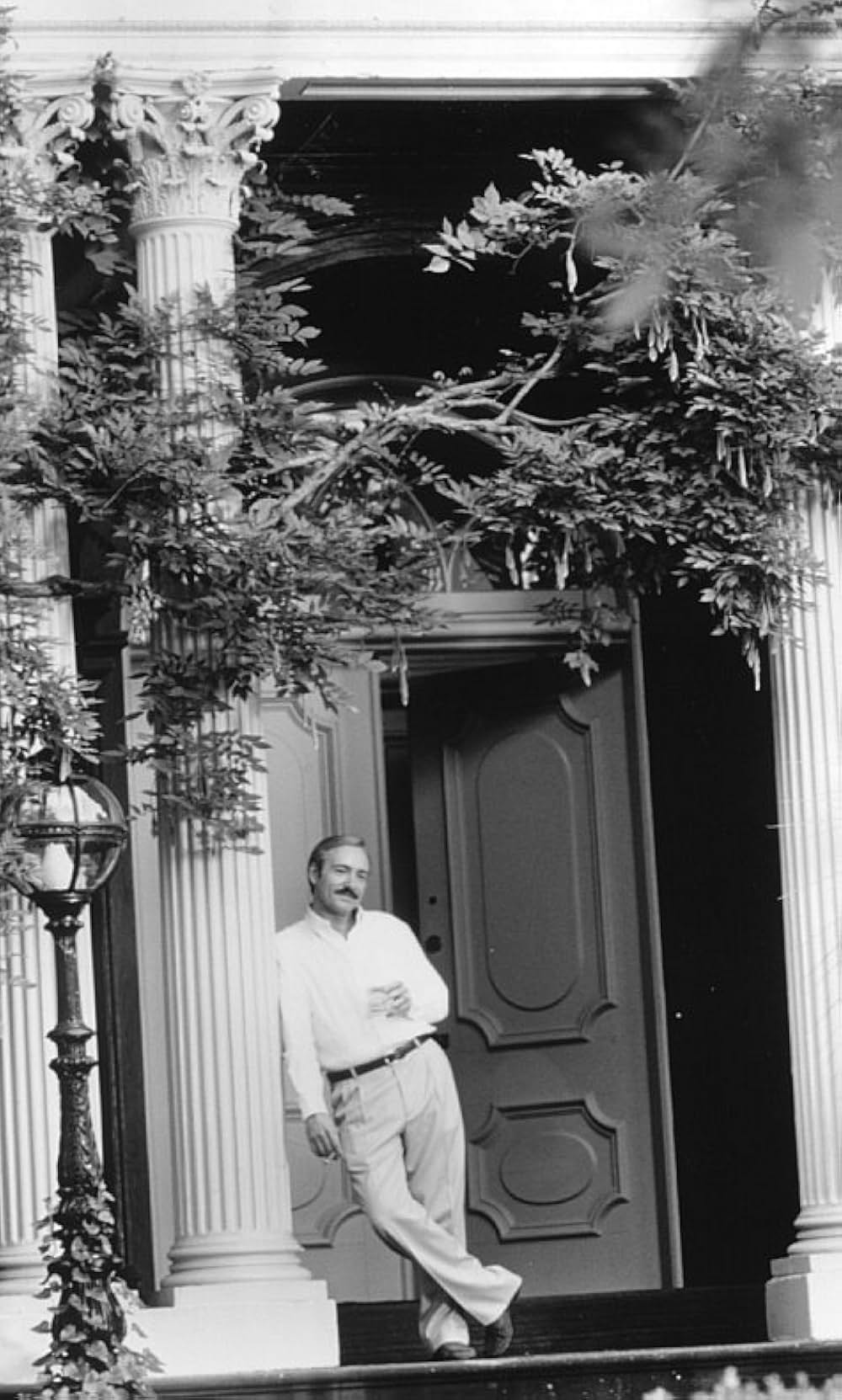 真夜中のサバナの画像