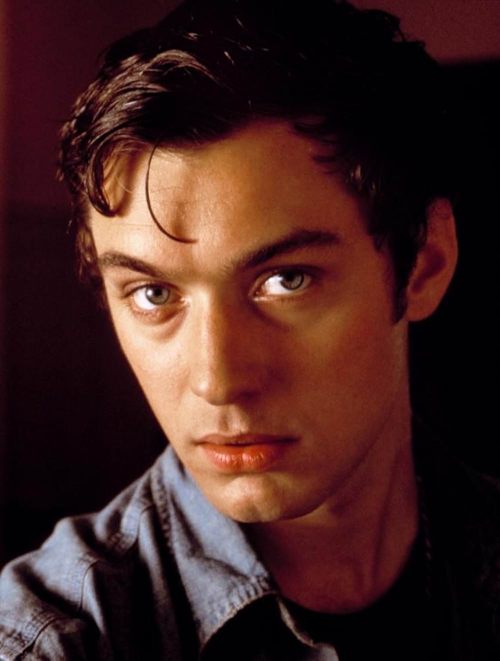 真夜中のサバナの画像