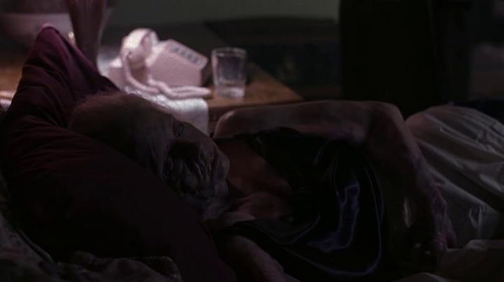 ファントムの画像