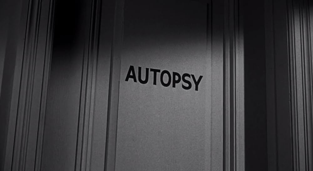 ティングラー／背すじに潜む恐怖の画像