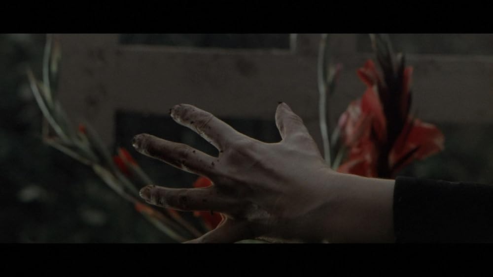 悪魔の微笑みの画像