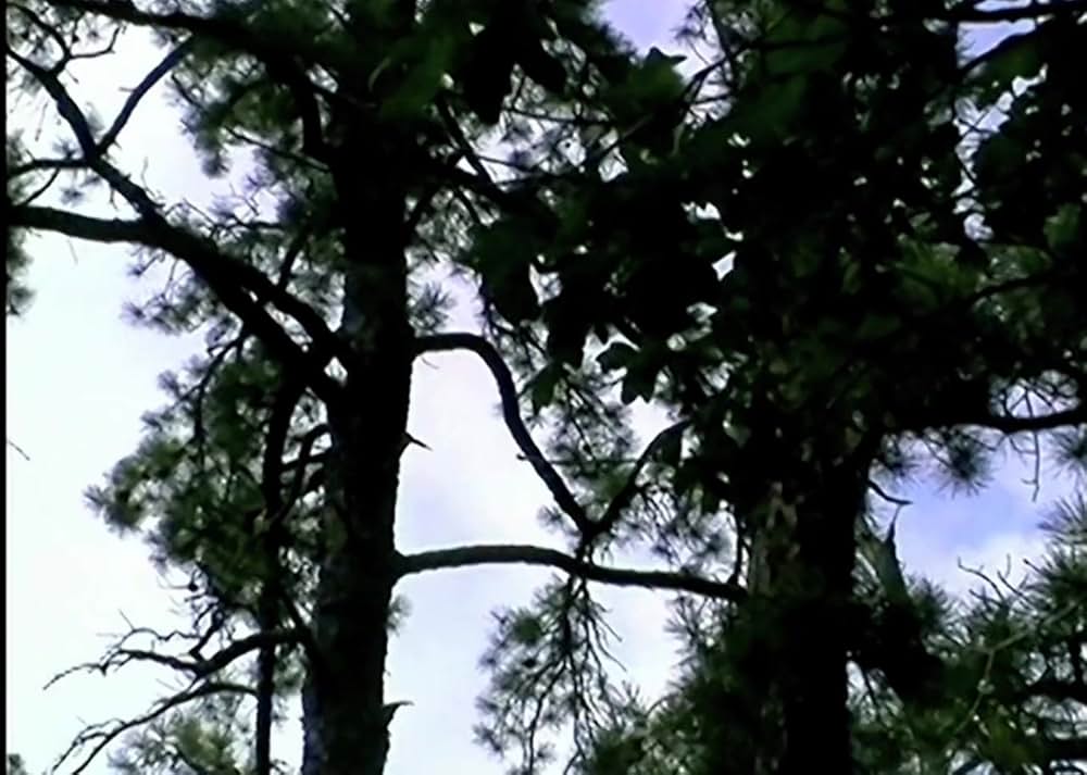 THE LAST BROADCAST ジャージー・デビル・プロジェクトの画像