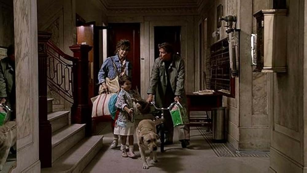 危険な情事の画像