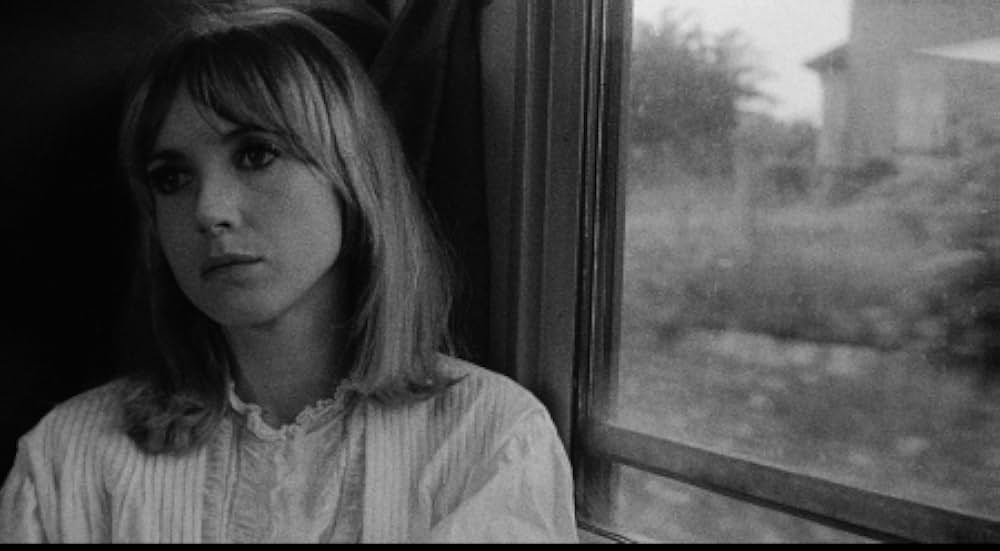 狂気の愛の画像