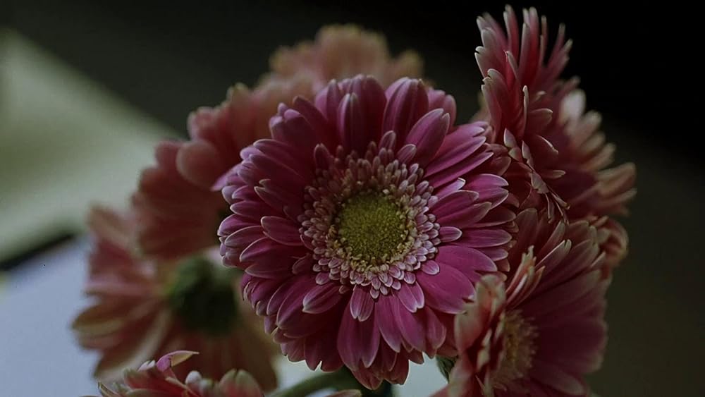 デス・サイトの画像