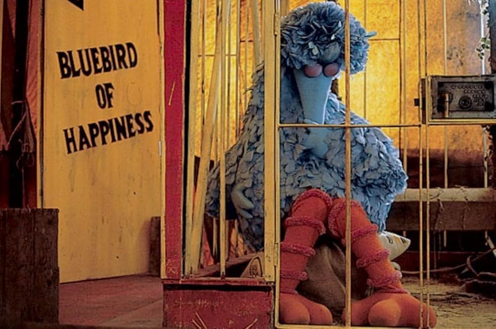 セサミストリート ザ・ムービー:おうちに帰ろう、ビッグバード！の画像