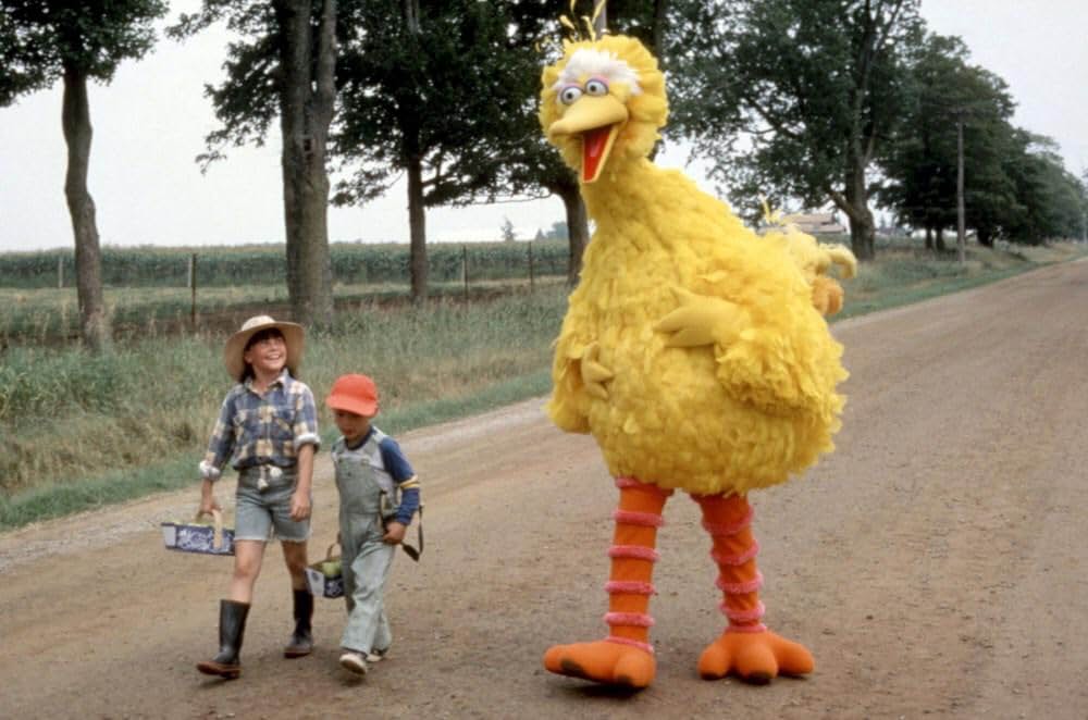 セサミストリート ザ・ムービー:おうちに帰ろう、ビッグバード！の画像