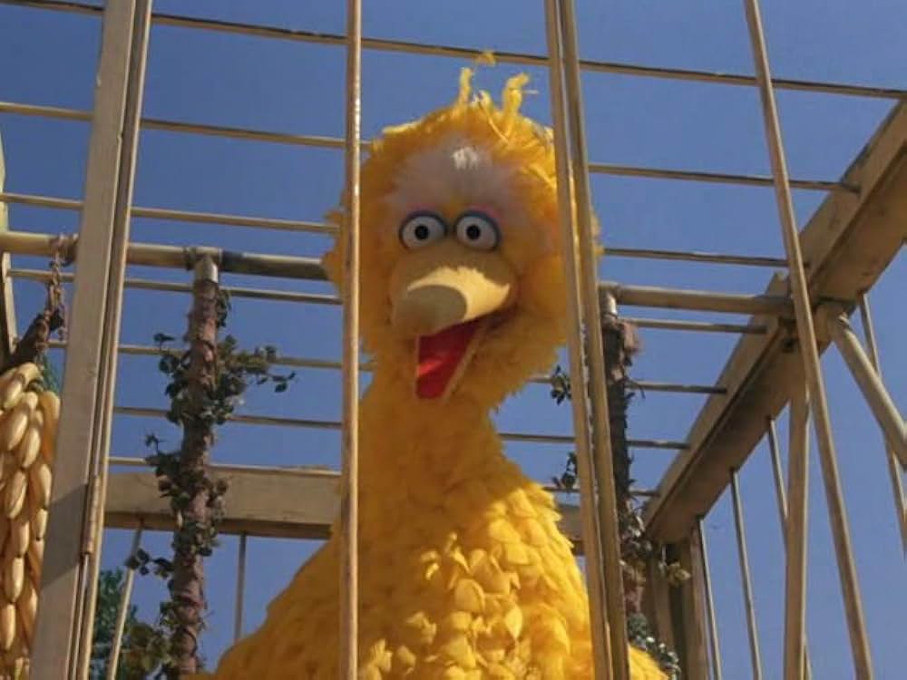 セサミストリート ザ・ムービー:おうちに帰ろう、ビッグバード！の画像