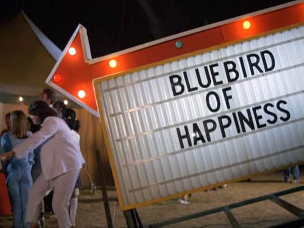 セサミストリート ザ・ムービー:おうちに帰ろう、ビッグバード！の画像