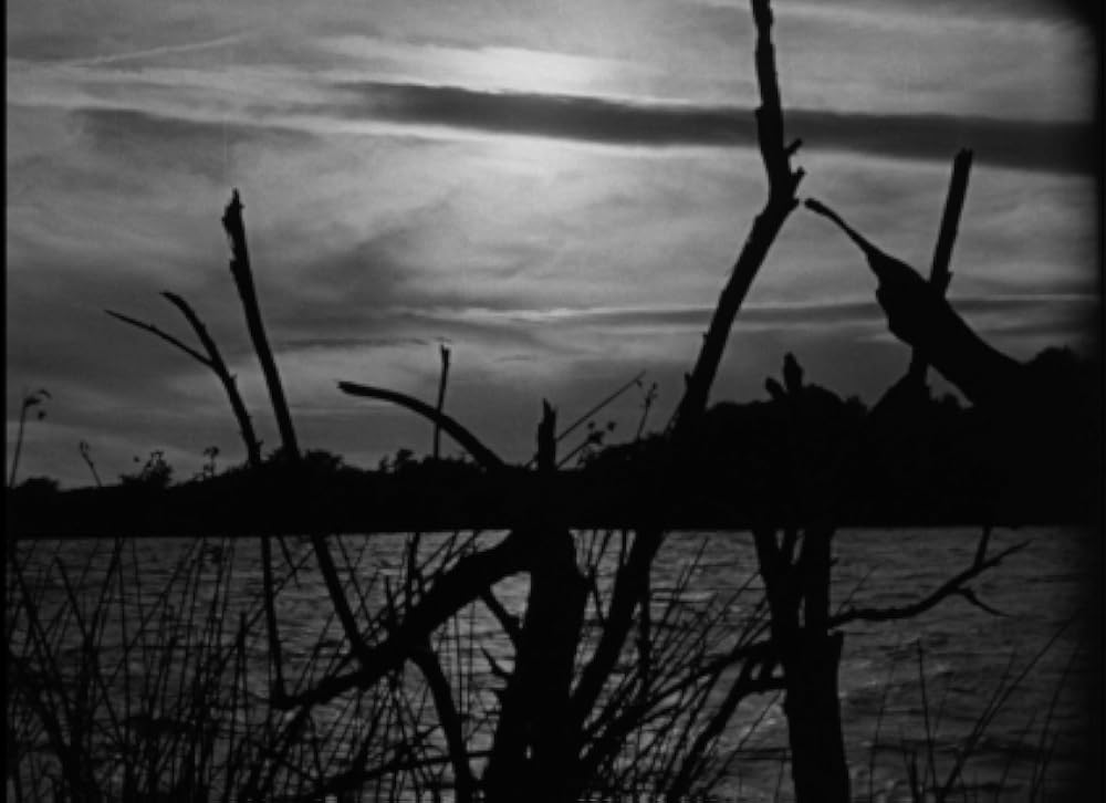 ハウス・バイ・ザ・リバーの画像