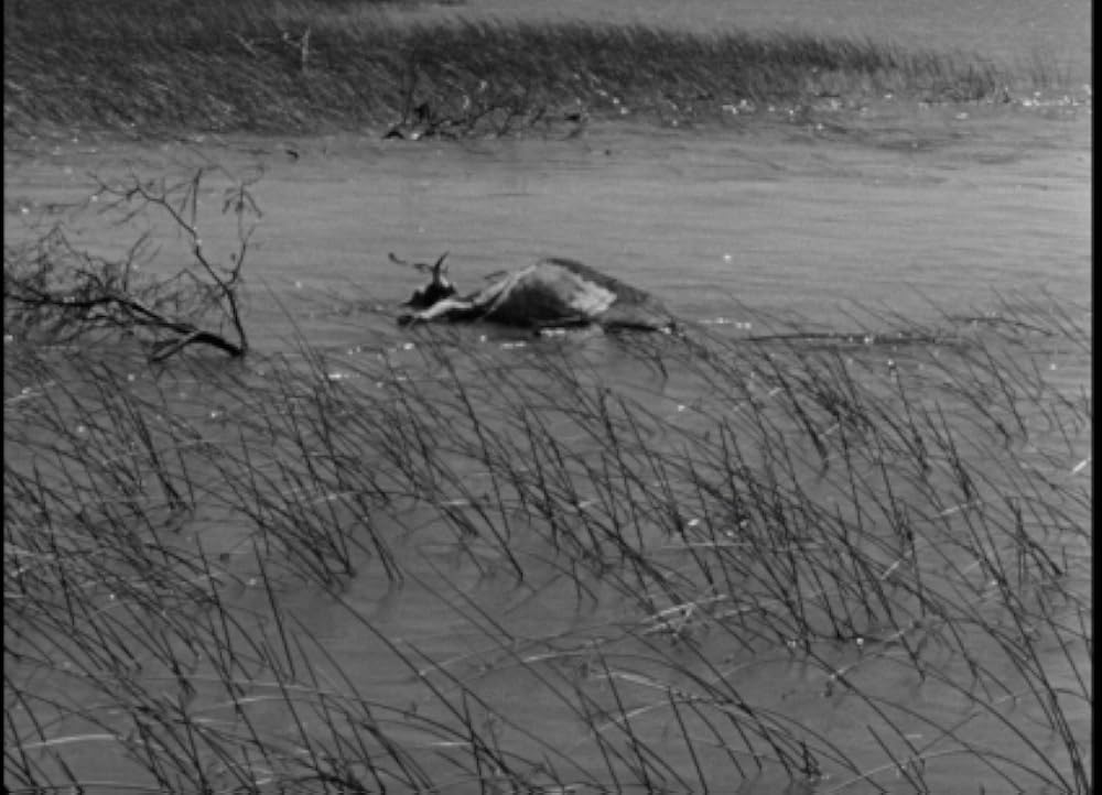 ハウス・バイ・ザ・リバーの画像