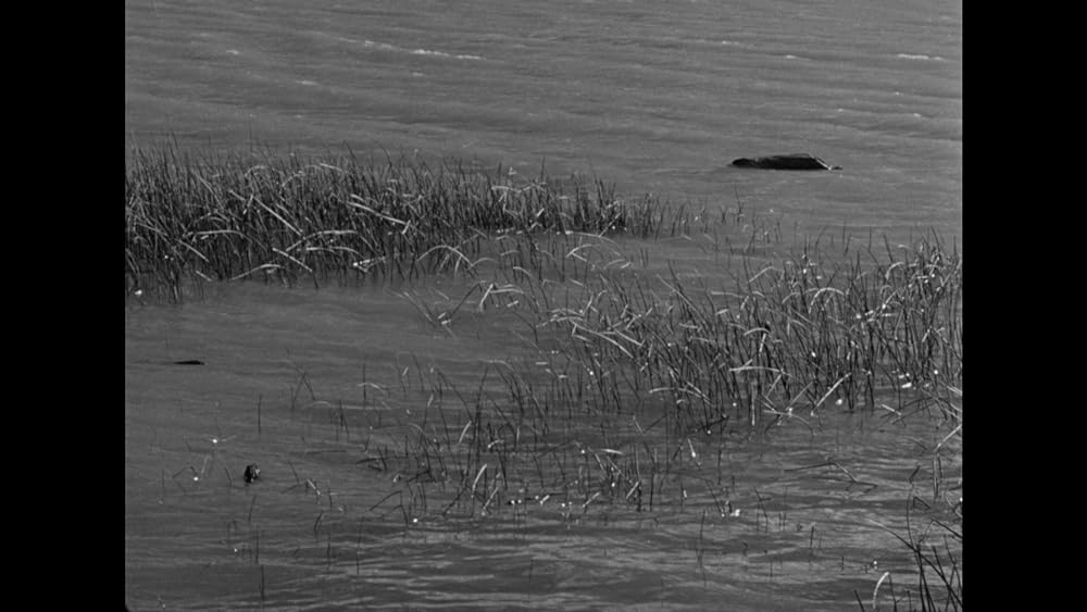 ハウス・バイ・ザ・リバーの画像