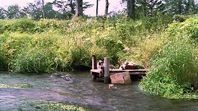 子猫物語の画像