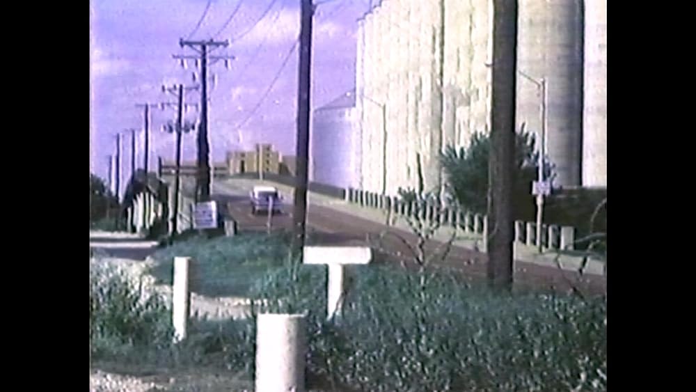 異形未知生命体 エボミネーションの画像