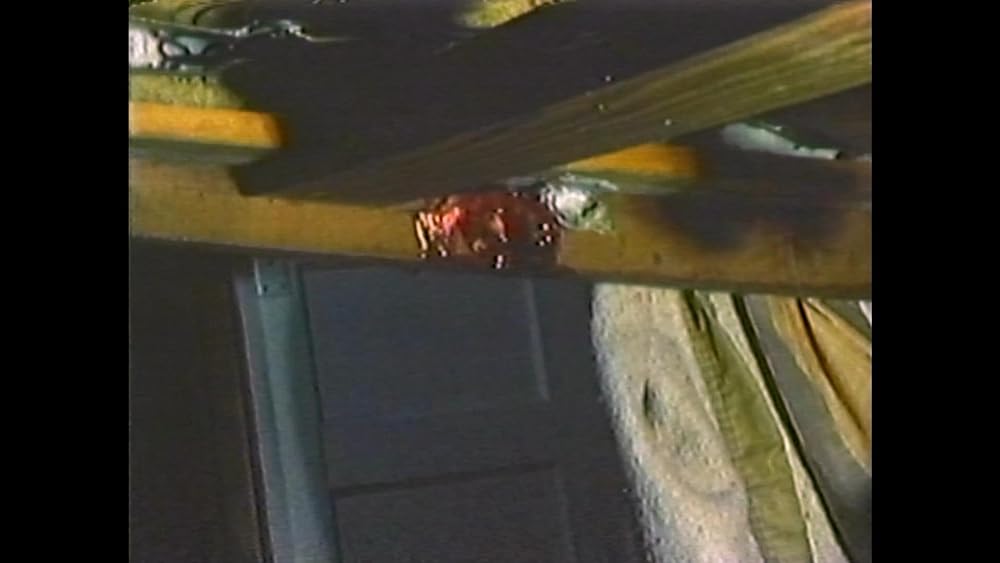 異形未知生命体 エボミネーションの画像