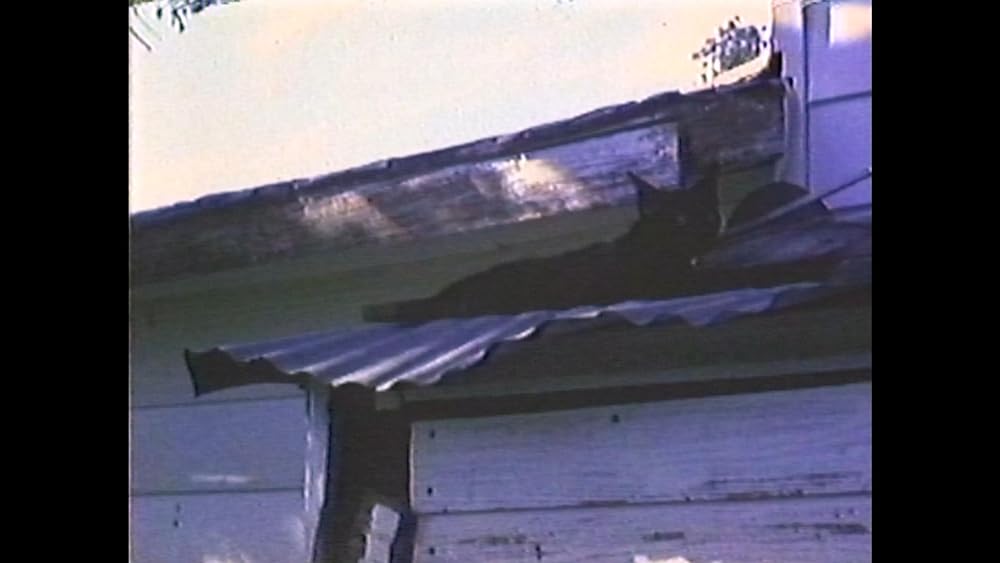 異形未知生命体 エボミネーションの画像