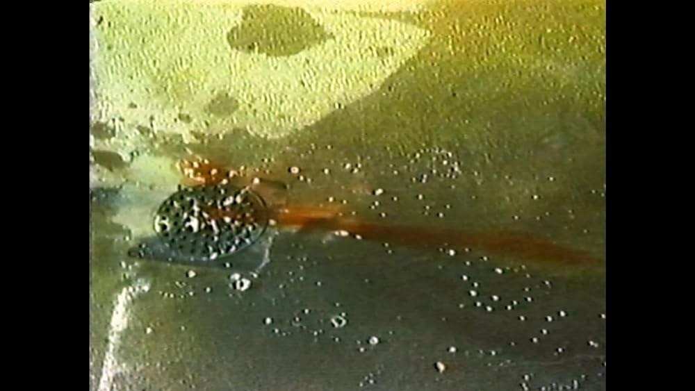 異形未知生命体 エボミネーションの画像